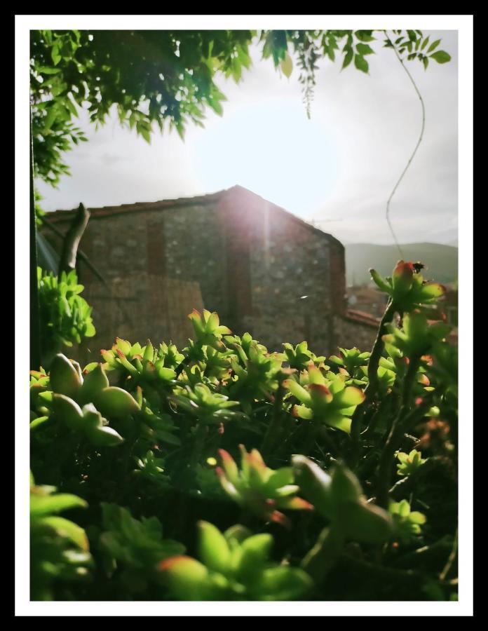 La Belle D'Ame - Guest House Prades  Exterior foto